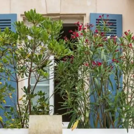 Charming Studio In Central * Biarritz